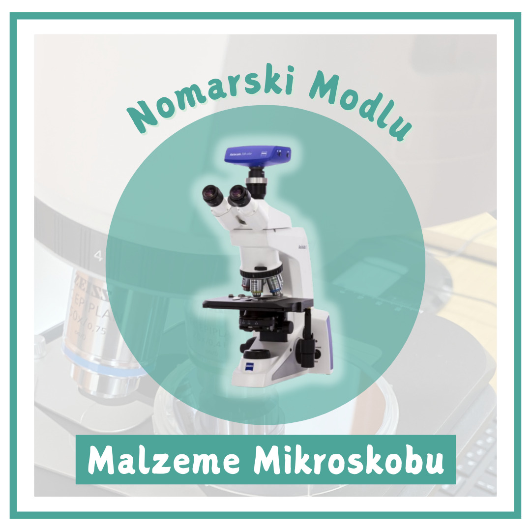 Nomarski Modlu Malzeme Mikroskobu