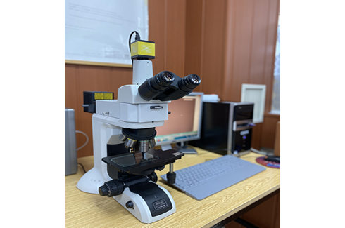 Nikon Eclipse LV150N Optical Microscope (Optical Characterization)